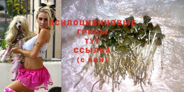 трава Верхнеуральск