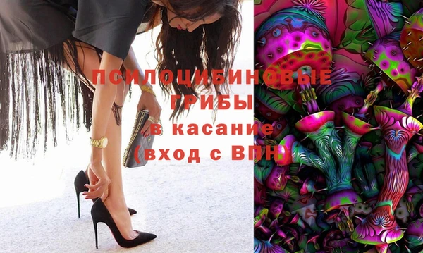 МДПВ Бронницы