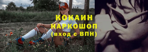 МДПВ Бронницы